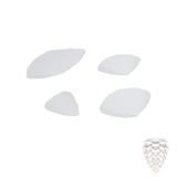 Feuilles | for Conia