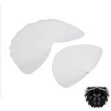 Feuilles | for Silvia