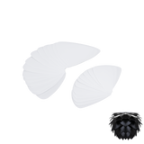 Feuilles | for Silvia