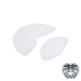 Feuilles | for Silvia