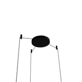 Asteria Micro | Groupe