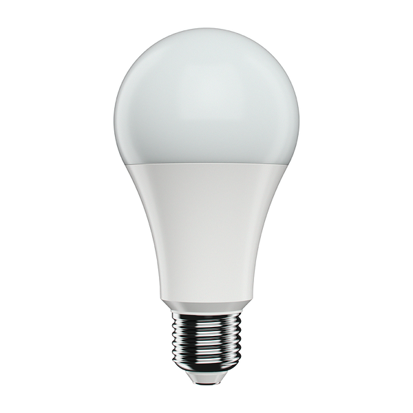 Bright Idea LED 13W | E27