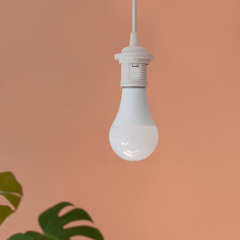 Bright Idea LED 13W | E27